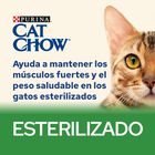 Cat Chow Sterilised cordero sobre para gatos, , large image number null